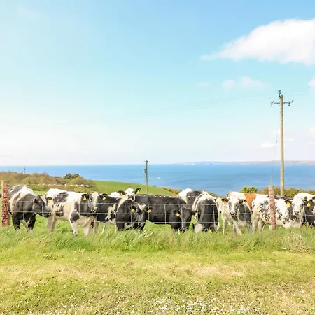 Josie's House Holiday home Fethard on Sea